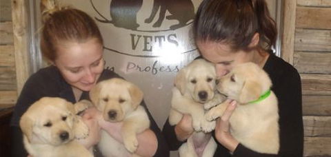 Busby David Dr - Gold Coast Vets 1