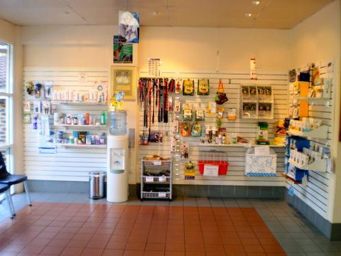 Roche Anya Dr - Gold Coast Vets 2