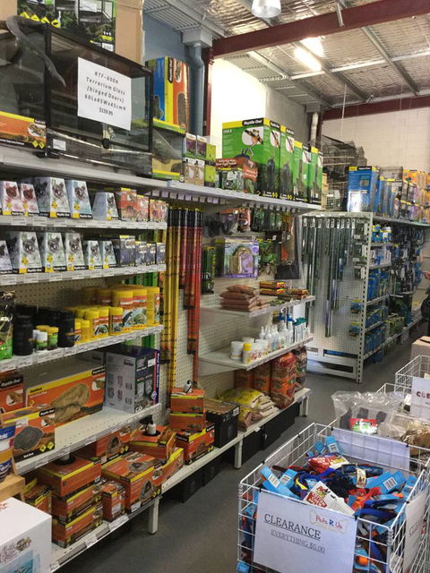 Pets R Us Raymond Terrace - Gold Coast Vets 4
