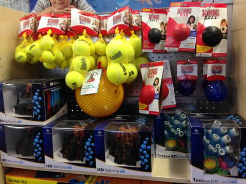Mackay City Pet Barn - Gold Coast Vets 2