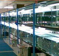 Pets R Us - Gold Coast Vets