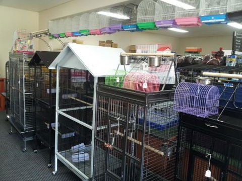 Absolutely Fish And Pets - Gold Coast Vets 1