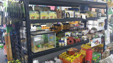 Absolutely Fish And Pets - Gold Coast Vets 3