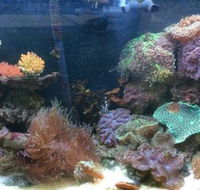 Rocky Pet World - Gold Coast Vets