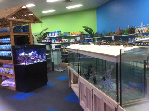 Rocky Pet World - Gold Coast Vets 1