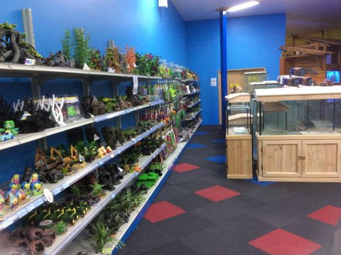 Rocky Pet World - Gold Coast Vets 2