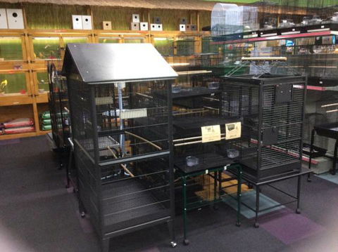 Rocky Pet World - Gold Coast Vets 3