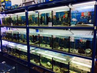 Pet Stop - Gold Coast Vets 3