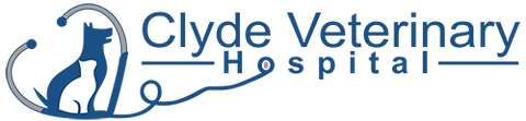 Clyde Veterinary Hospital - Gold Coast Vets 0