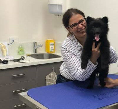 Clyde Veterinary Hospital - Gold Coast Vets 1